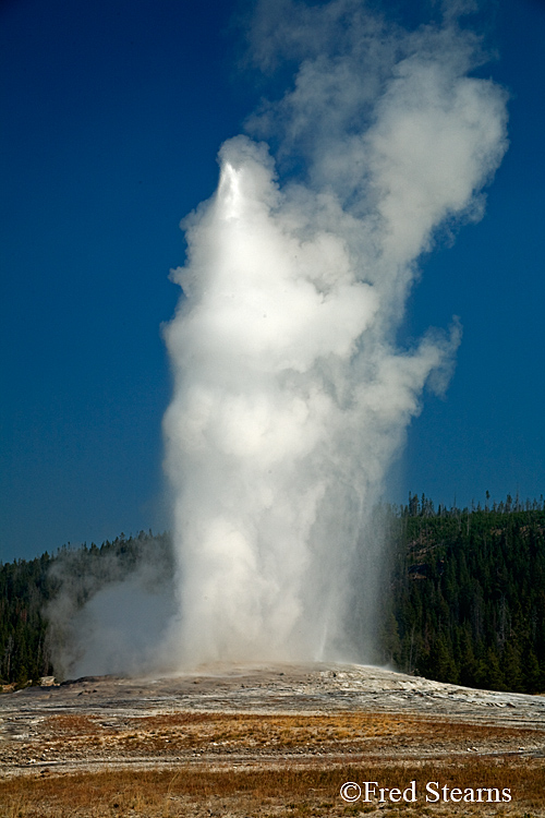 Yellowstone NP Upper Geyser Basin